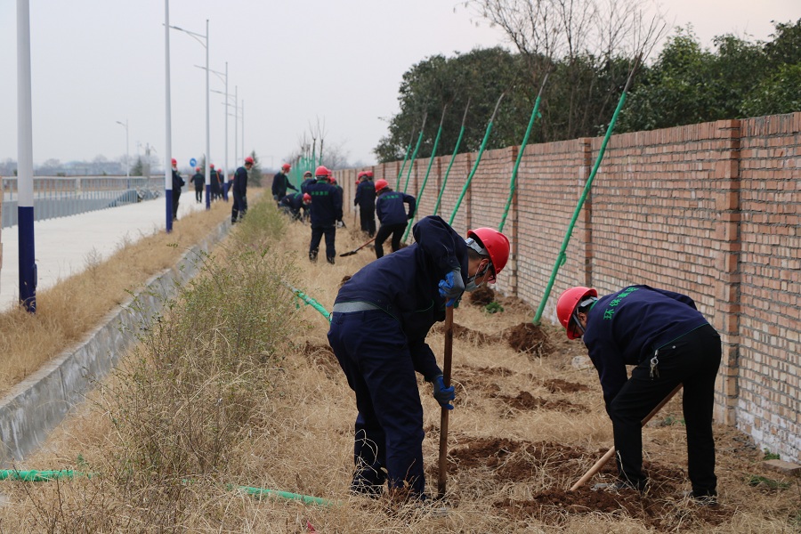 1584015373732195GlNO.jpg 三秦公司下屬陜西省危廢處置中心組織開展“美化環(huán)境 綠色同行”植樹活動_2658.JPG